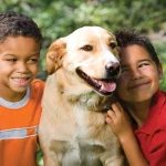 Your Pet Deserves the Best: Custom Cages Designed with Love